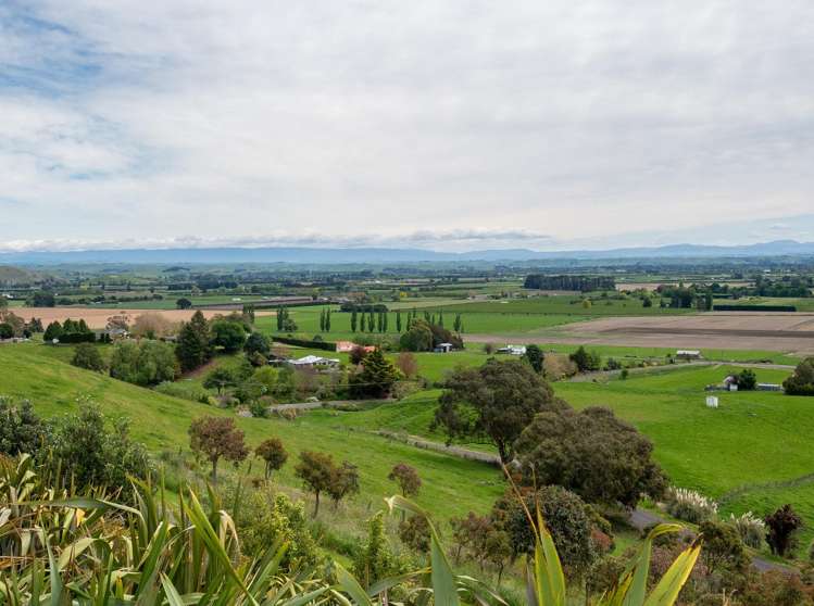35 Red Hills Road Havelock North_28