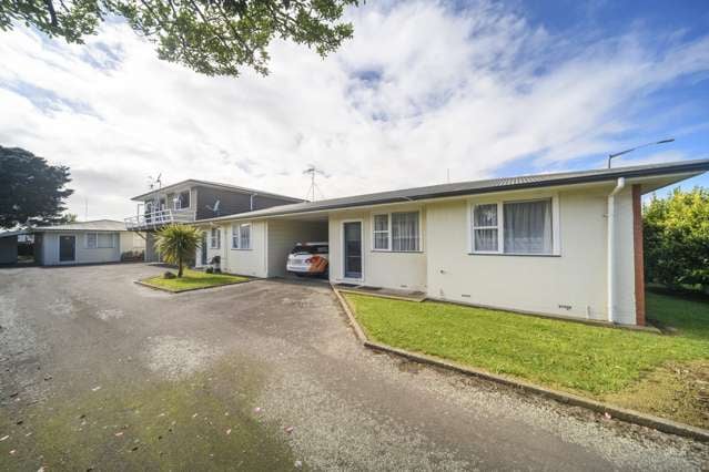 43 Albert Street Palmerston North Central_2