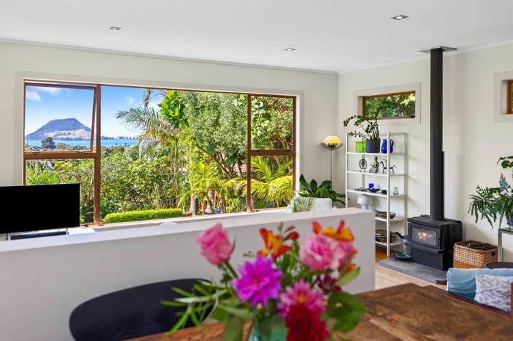 91 Pillans Road Otumoetai_6