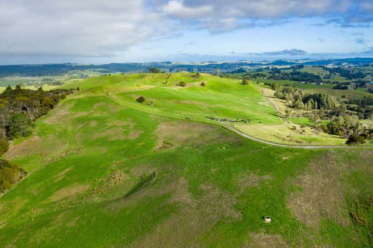 1053 Waihue Road Dargaville Surrounds_15