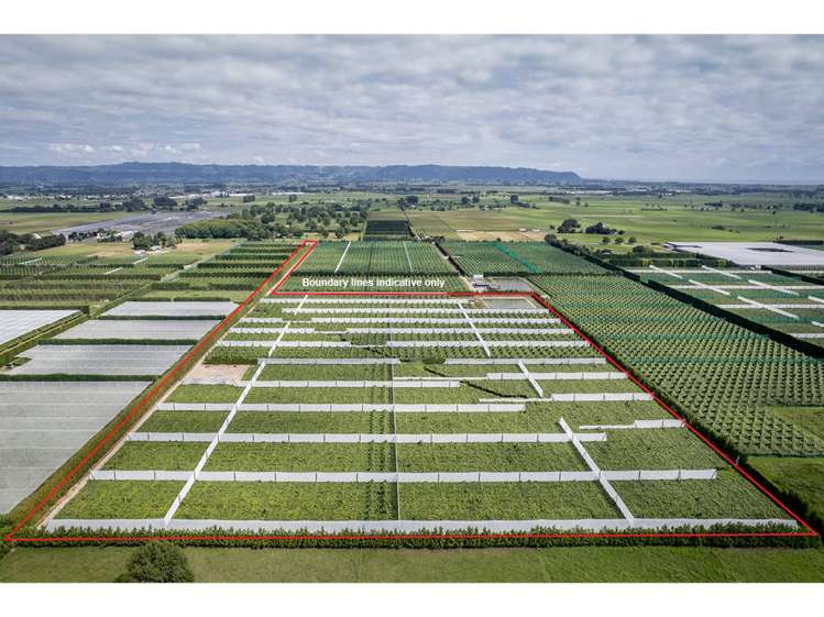 187 Western Drain Road Edgecumbe_0