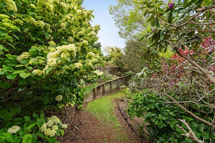 Lot 1,118B Wairau Road Oakura_19