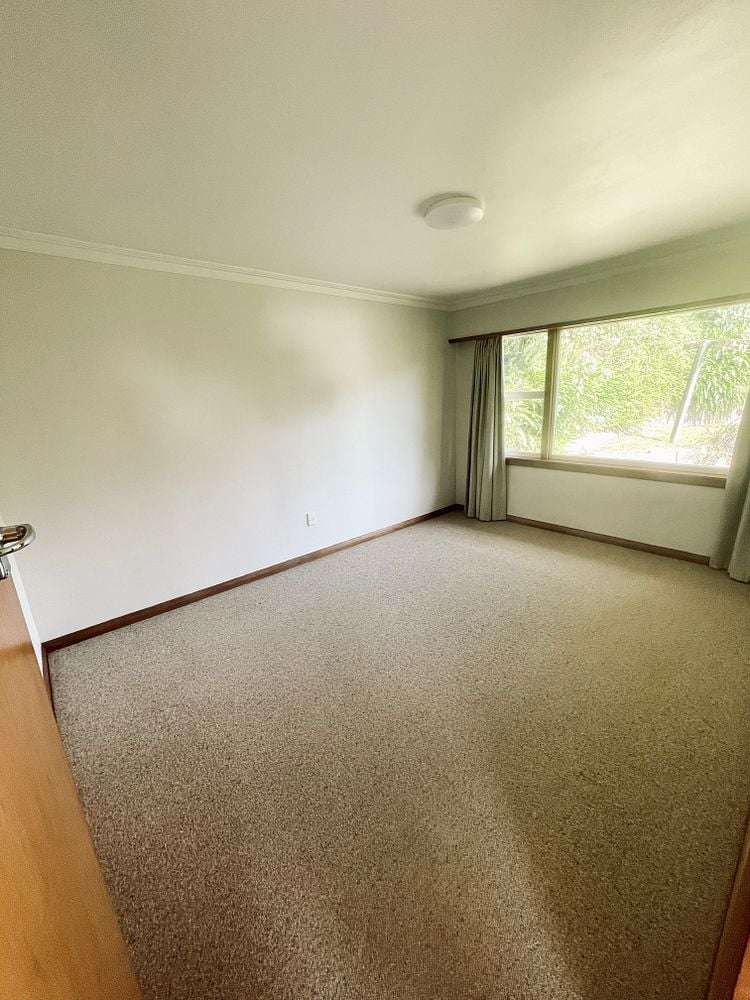 88 Carrington Street Lower Vogeltown_12