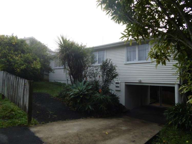 50d Gardner Avenue New Lynn_0