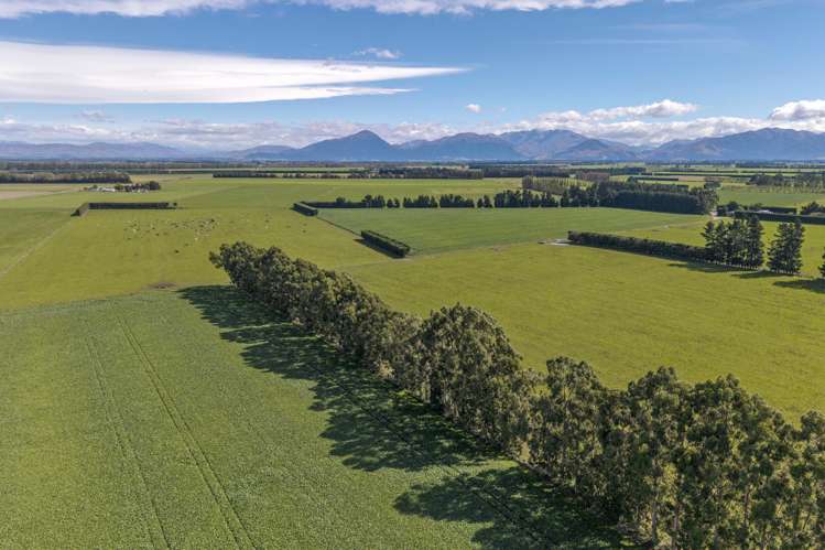 904 Dip Road Methven_6