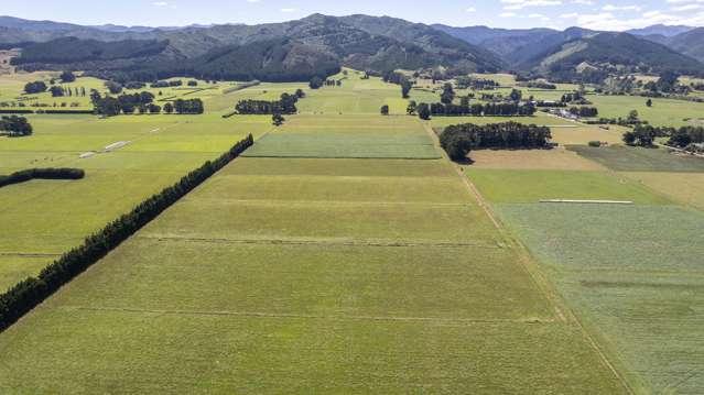 Jervois Road Dalefield/Wakatipu Basin_4
