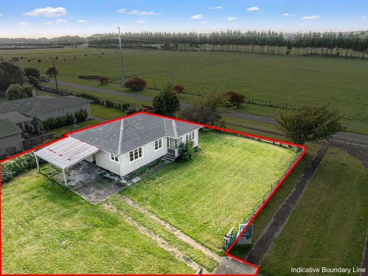 55 Wilson Street Waverley_17