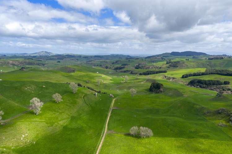 578 Waimanu Road Wharepapa South_9