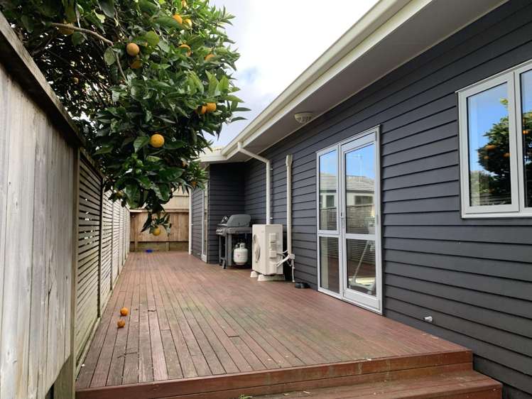 8A Vine Avenue Maungatapu_17
