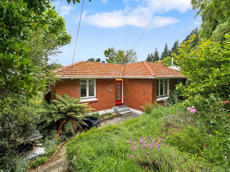 211 Signal Hill Road Opoho_21