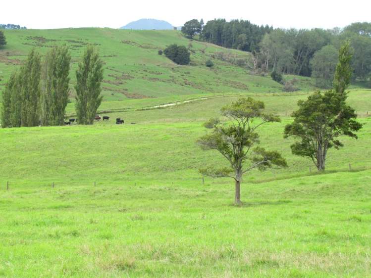 300 Gumtown Road Kamo_4