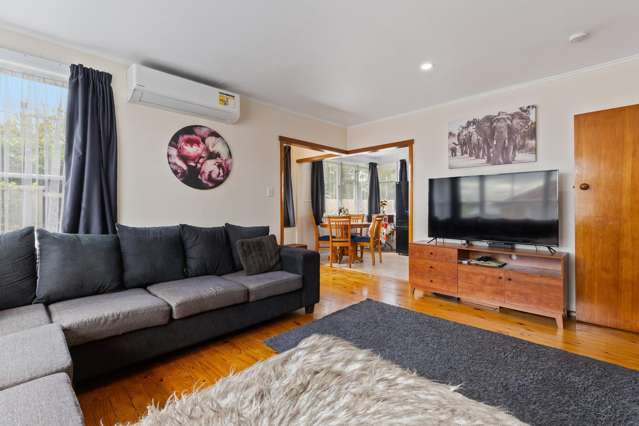 12 Young Street Morrinsville_2
