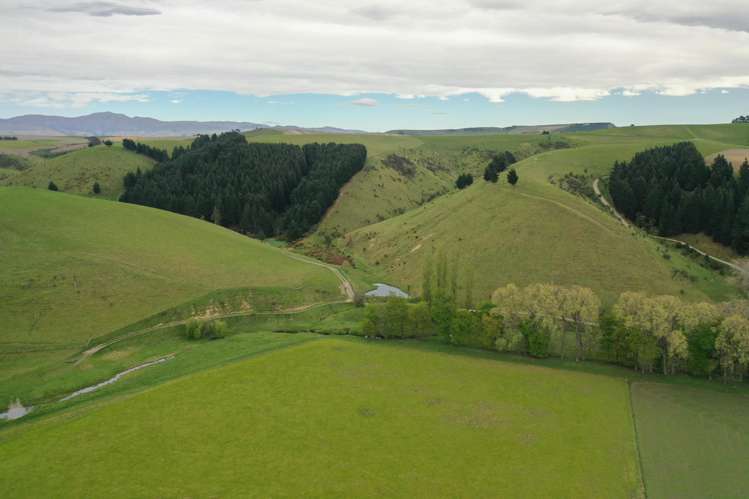 1201 Pareora River Road Maungati_19