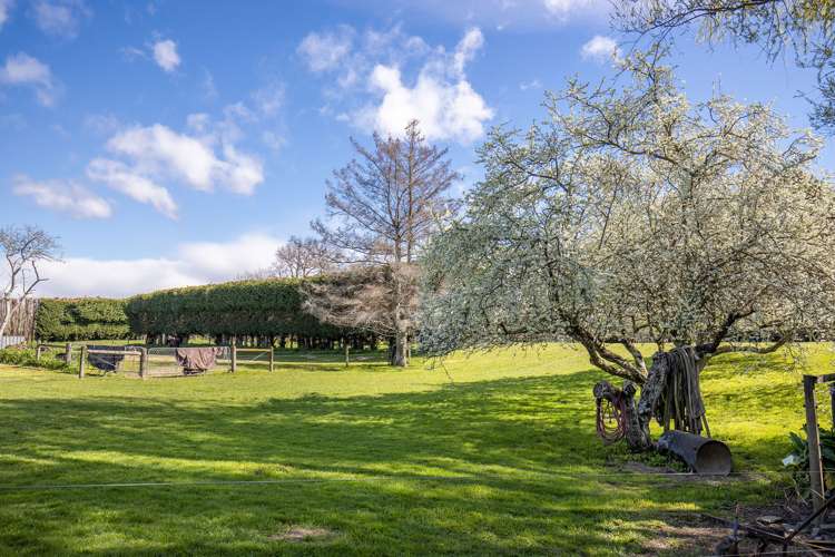 105 River Road Appleby_20