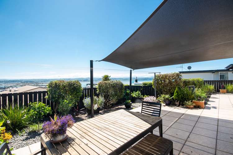 36 Roslyn Road Bluff Hill_17