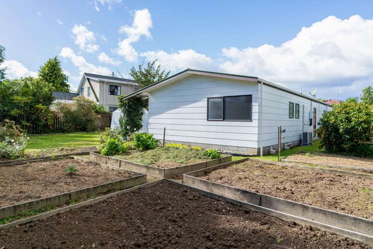 20A Regal Street Levin_17