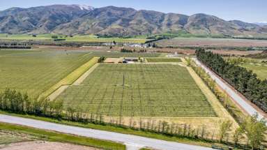 90 Willowbank Road_4