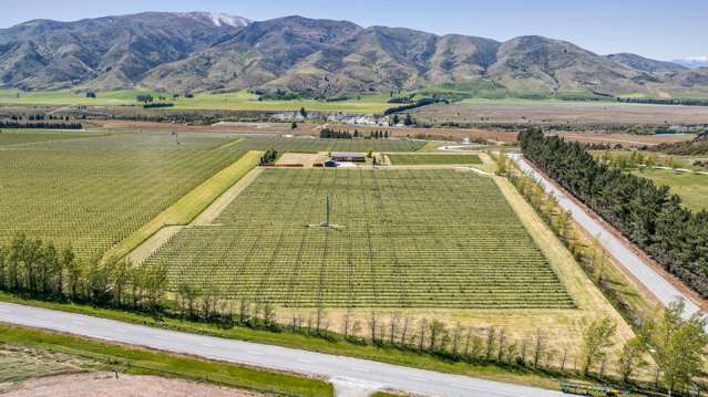 90 Willowbank Road Queensberry_4