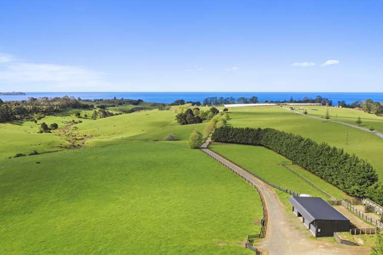 465 Otaha Road Kerikeri_9