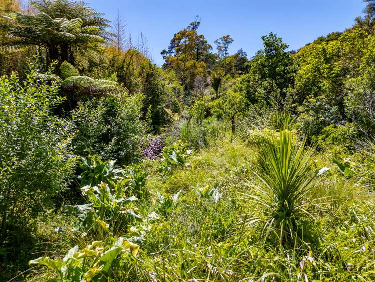 39 Te Aroha Avenue Oneroa_15