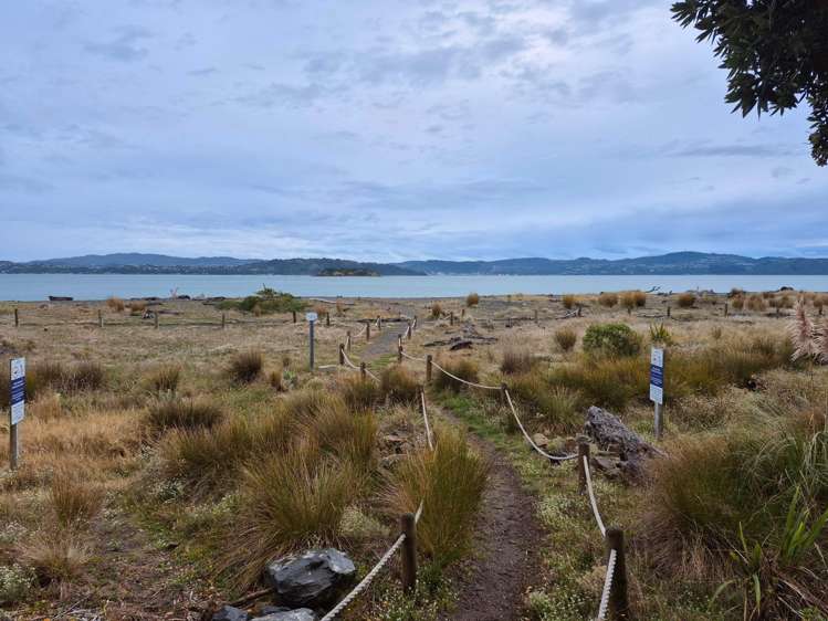 34 Tuatoru Street Eastbourne_13