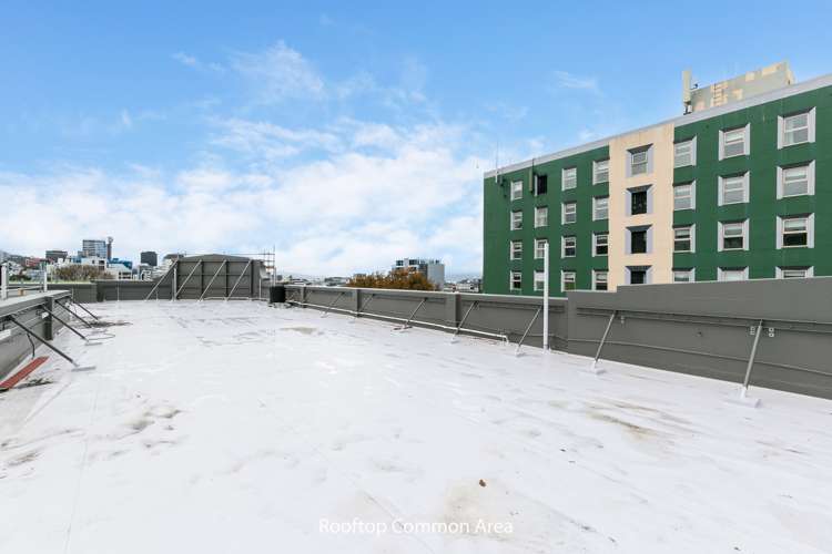 17/3 Aro Street Aro Valley_10