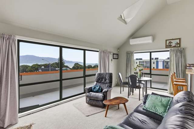 3B/25 Maclean Street Paraparaumu Beach_2
