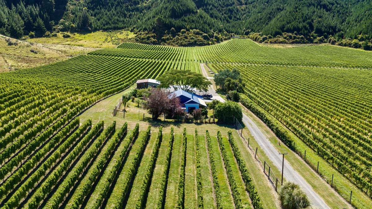 1224 Kaituna-Tuamarina Road_0