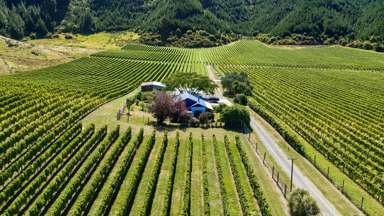 1224 Kaituna-Tuamarina Road_1