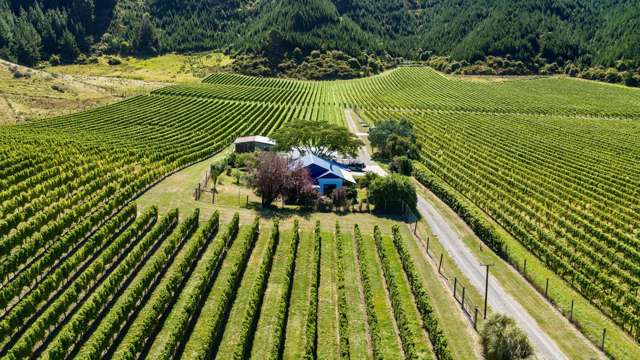 1224 Kaituna-Tuamarina Road Kaituna_1