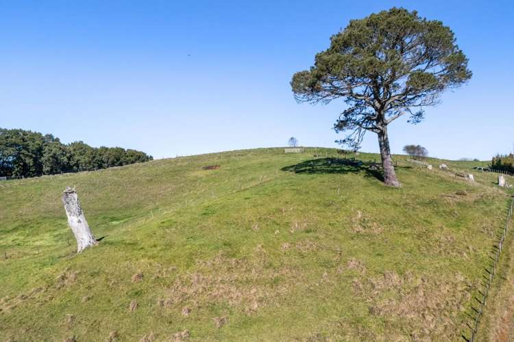 263 Hot Springs Road Katikati_3