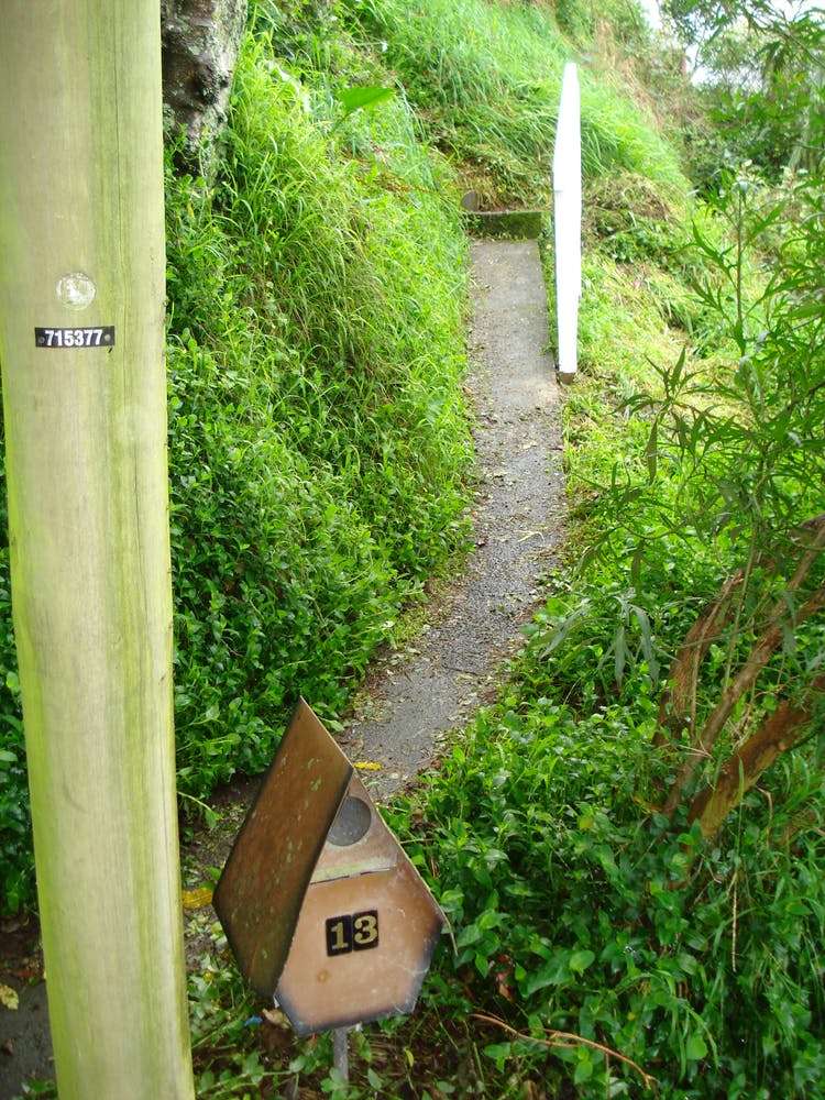 13 Mortimer Terrace Aro Valley_14