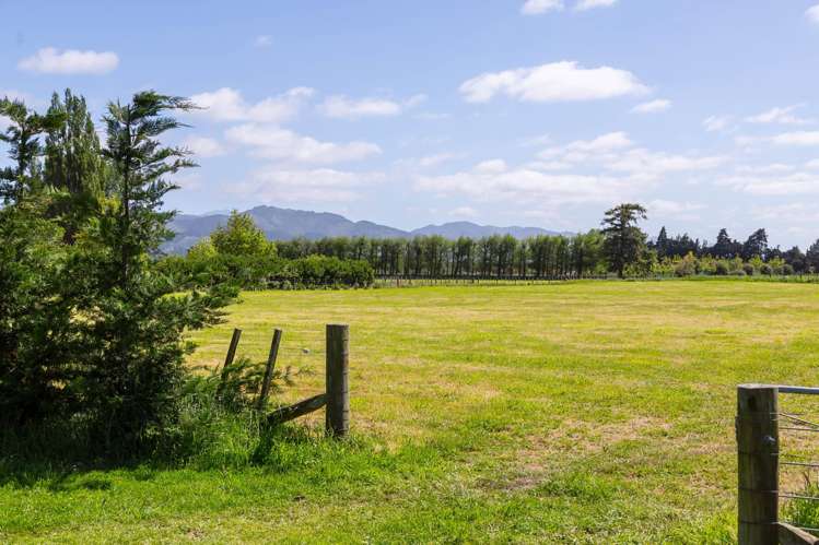 228B Wood Street Greytown_7