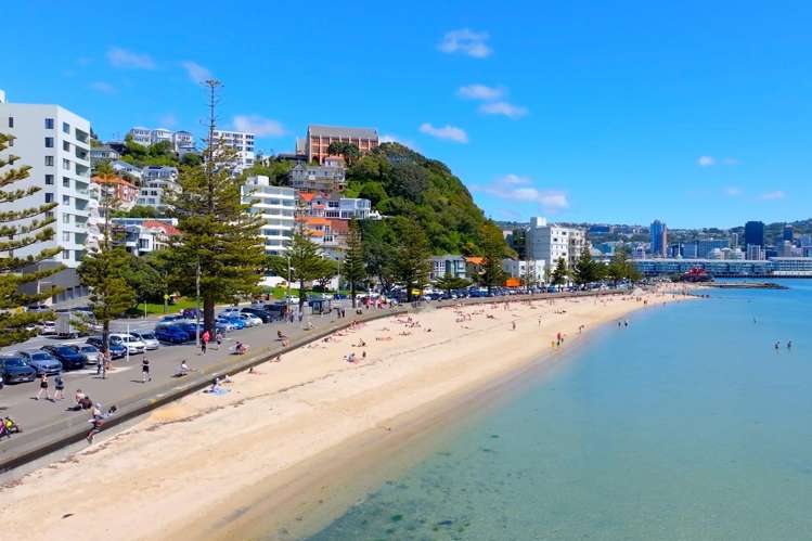 2/226 Oriental Parade Oriental Bay_26