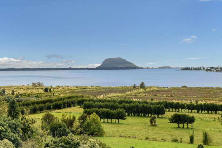 2A Oikimoke Road Te Puna_11