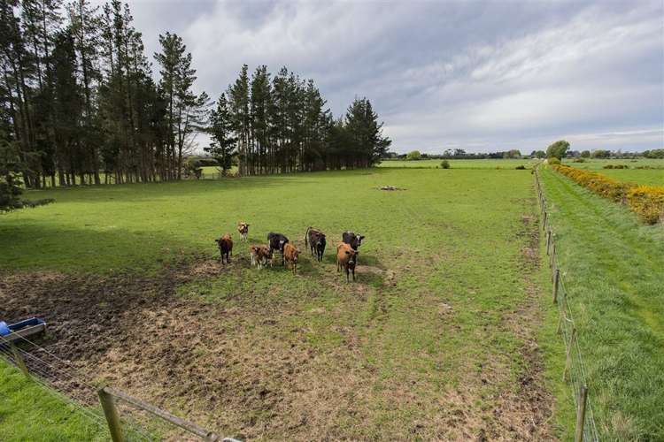 70 Edmunds Road Ohoka_18