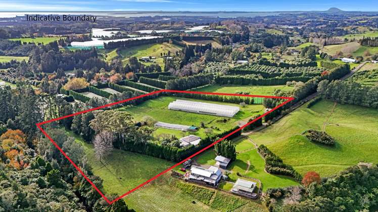 484C Wright Road Aongatete_19