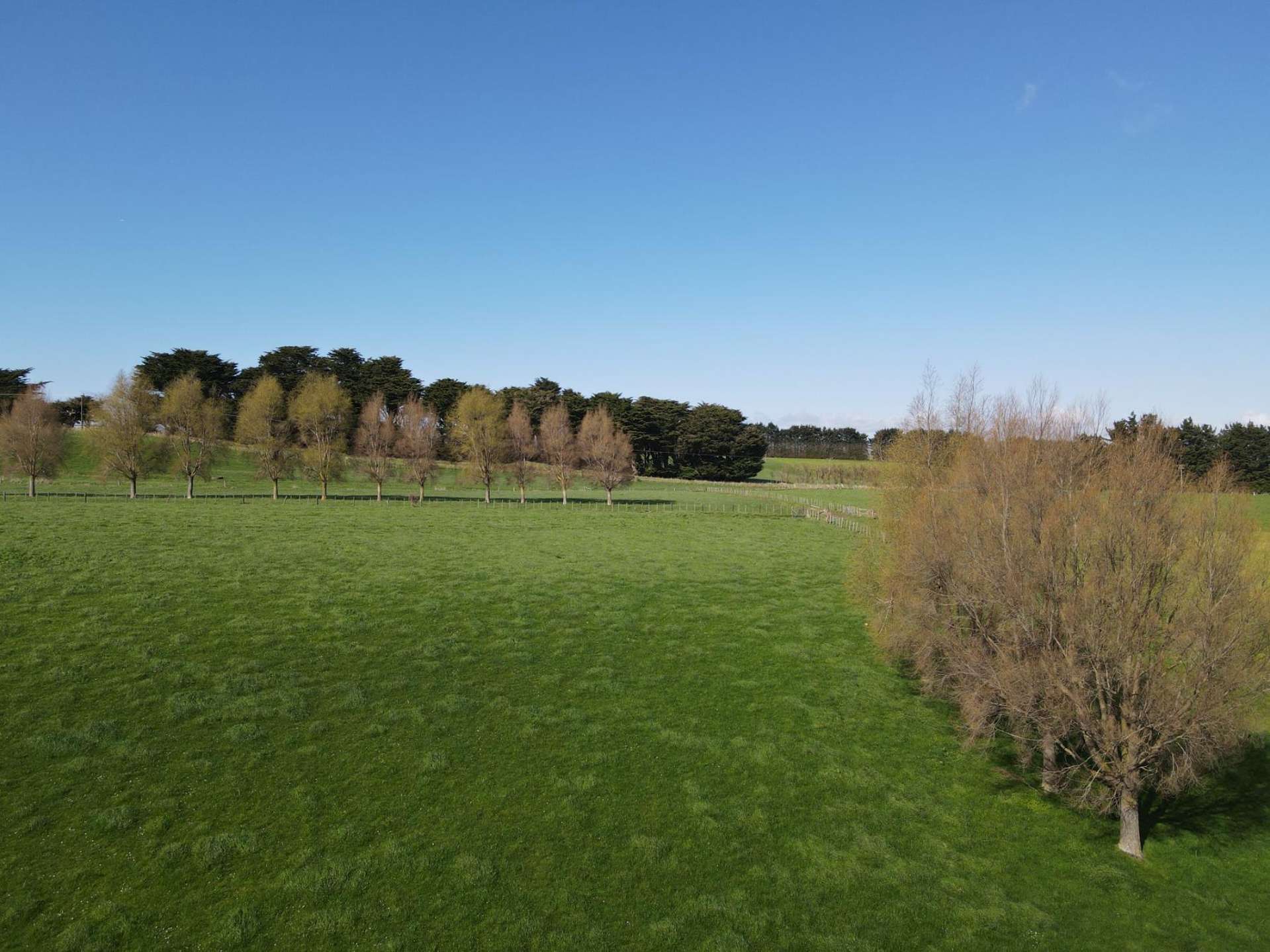592 Pinfold Road Woodville_0
