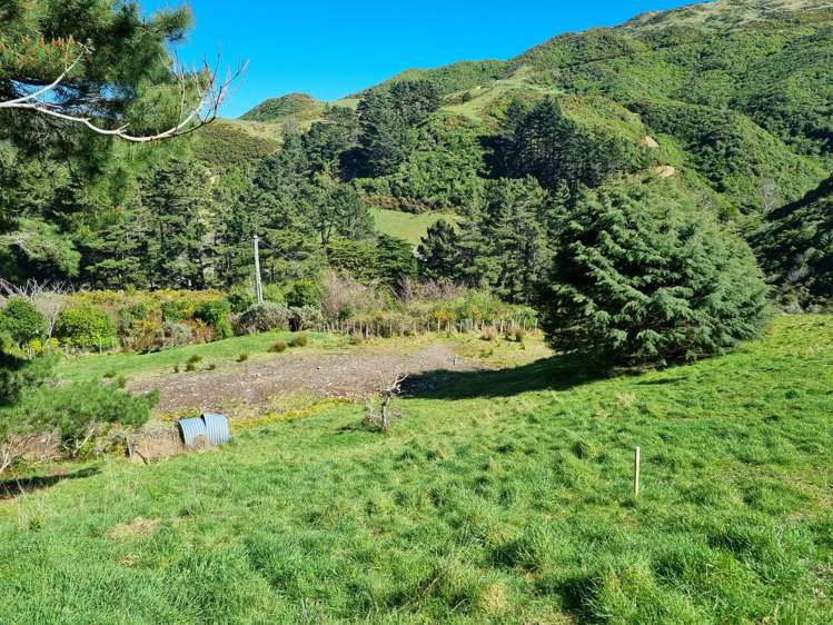 234 Stratton Street Normandale_9