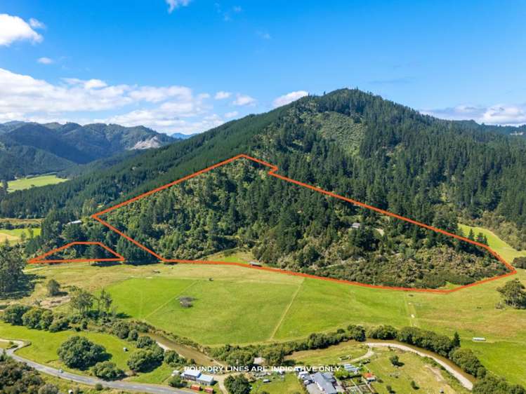 364 Onamalutu Road Onamalutu_2