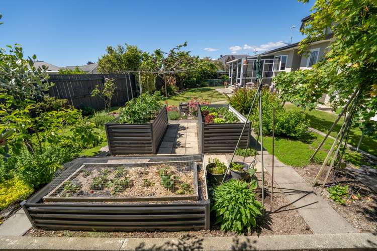 18 Marlowe Street Stoke_11