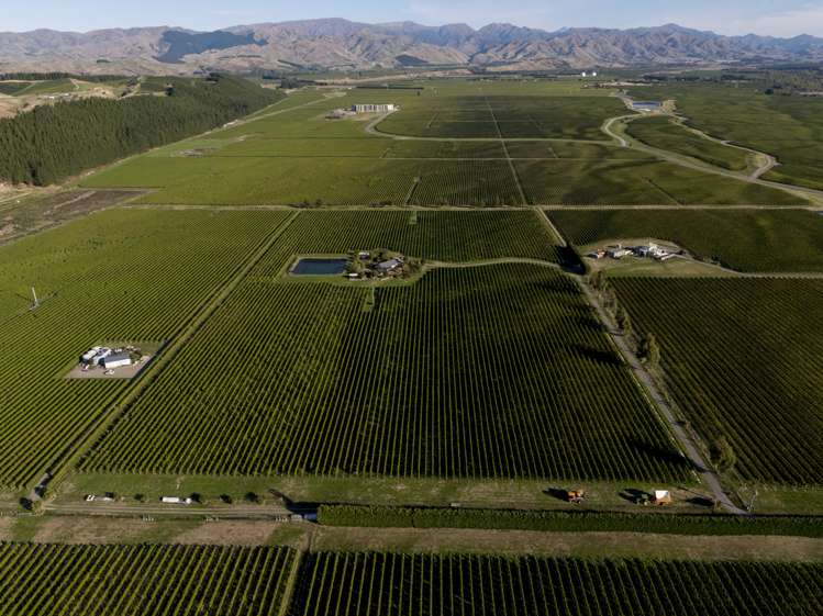 151 Guernsey Road Renwick_2