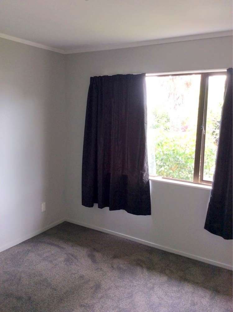 141c Maungatapu Road Maungatapu_6