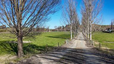 717k Puketitiri Road_4