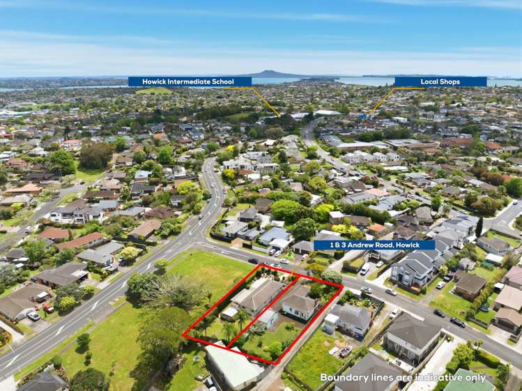 1 Andrew Road Howick_2