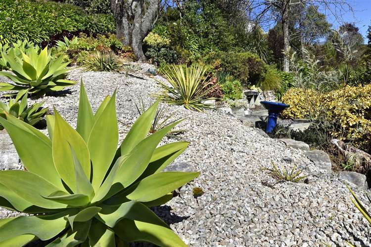 36 Stansell Avenue Tahunanui_18