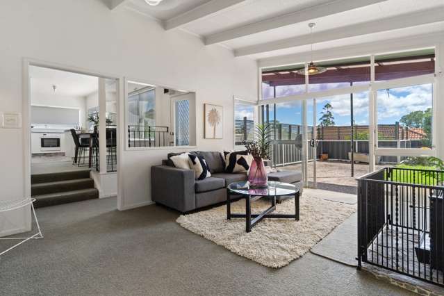 43 Harrier Street Parkvale_2