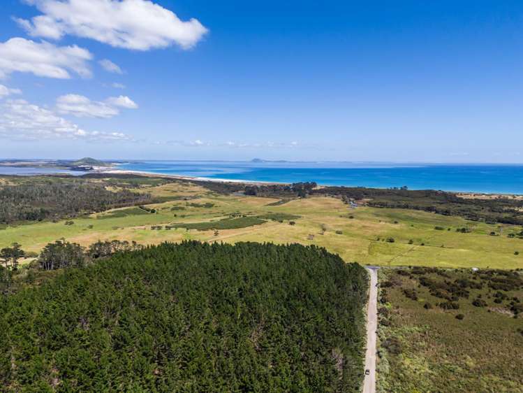 356 Matai Bay Road Karikari Peninsula_17