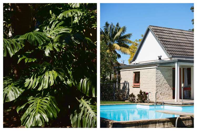 57 Smiths Road Matua_2