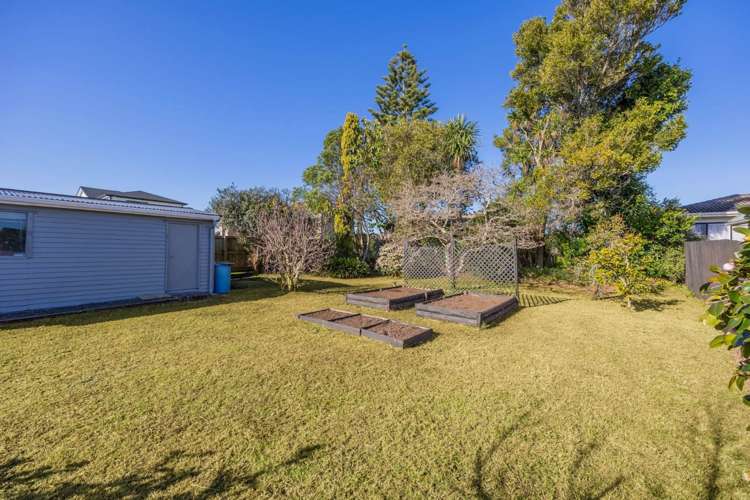 4 Murray Road Te Atatu Peninsula_10